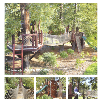 Picture of Commercial Climbing Holds & Playground Equipment